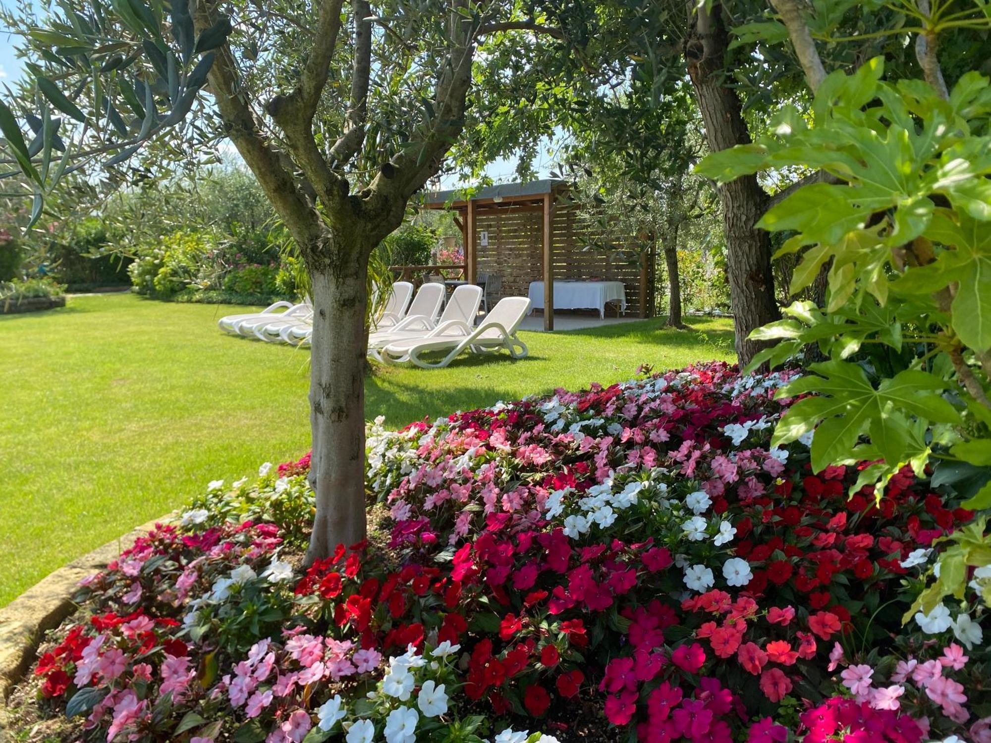 Agricampeggio Oasi Del Garda Lazise Exterior foto