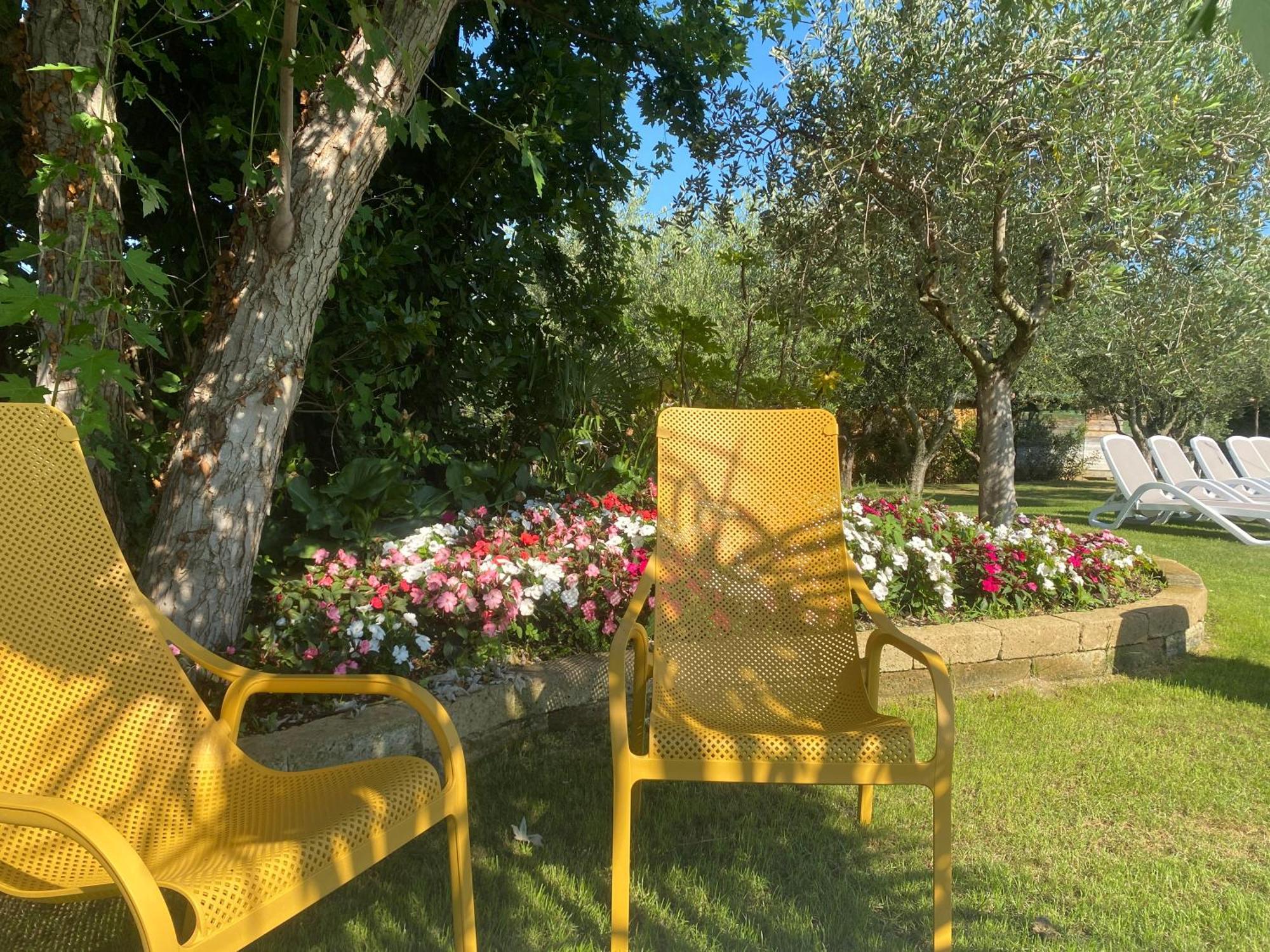 Agricampeggio Oasi Del Garda Lazise Exterior foto