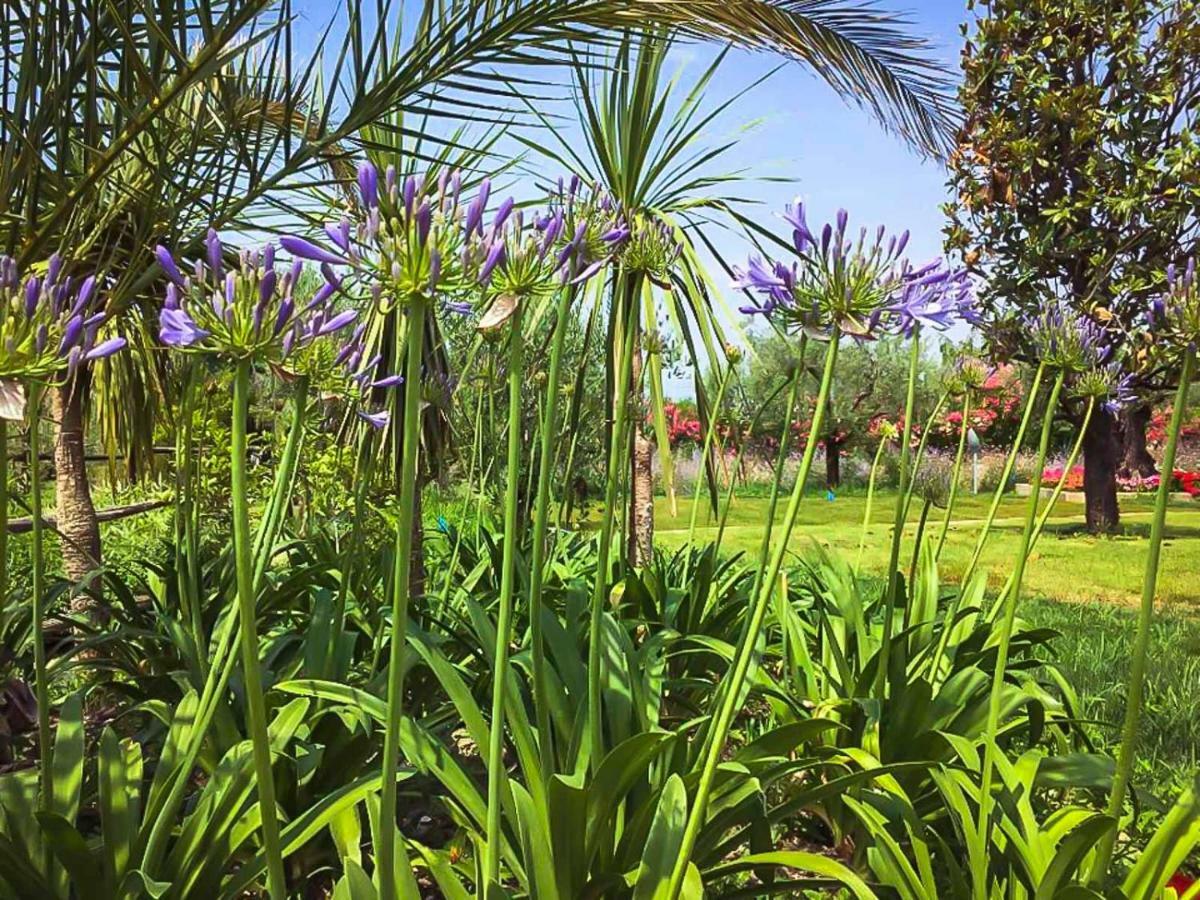 Agricampeggio Oasi Del Garda Lazise Exterior foto