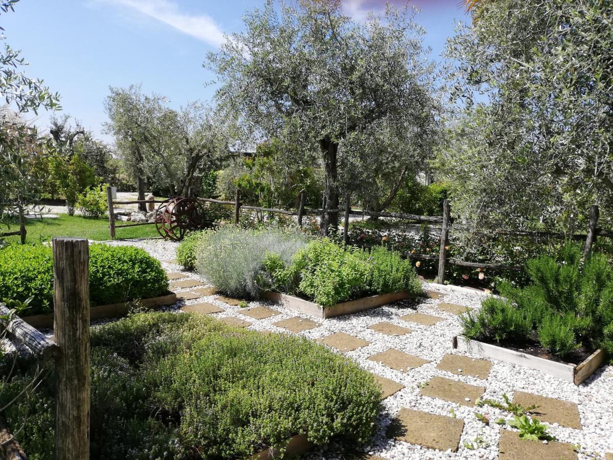 Agricampeggio Oasi Del Garda Lazise Exterior foto